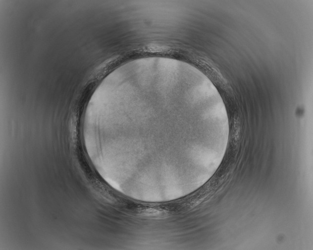 X0000116450542201001191555