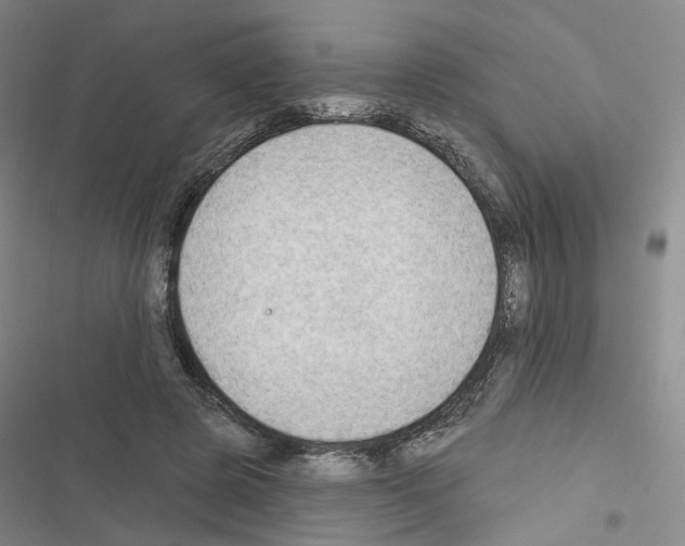 X0000116450545201001191555