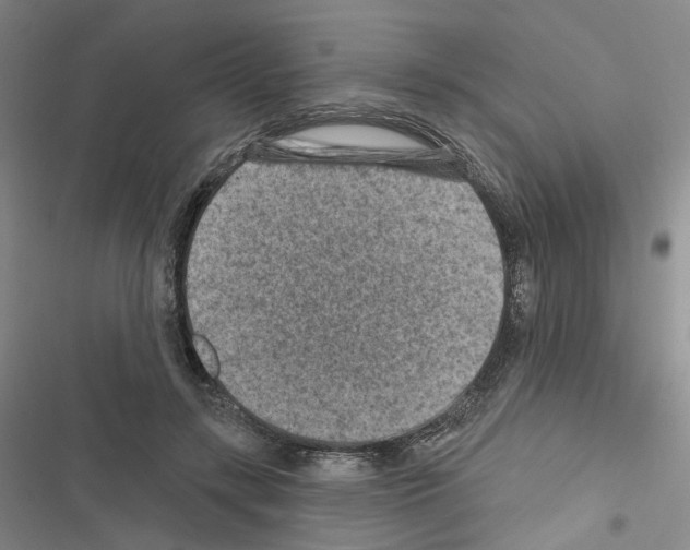 X0000116450547201001191555
