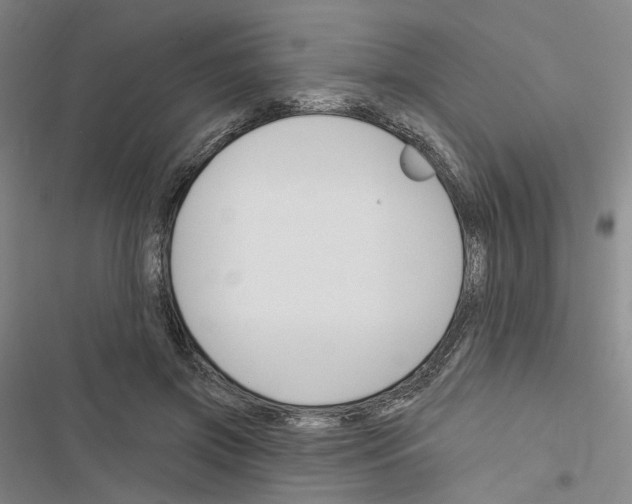 X0000116450549201001191555