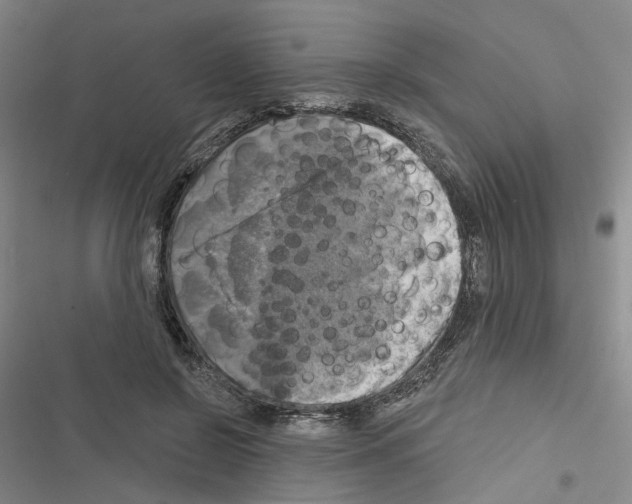 X0000116450550201001191555