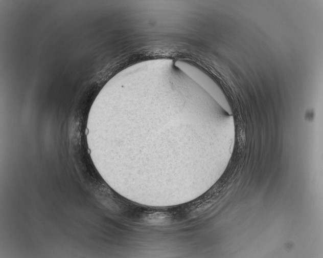 X0000116450551201001191555