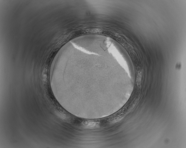 X0000116450553201001191555
