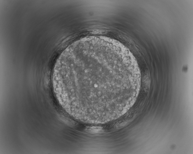 X0000116450554201001191555