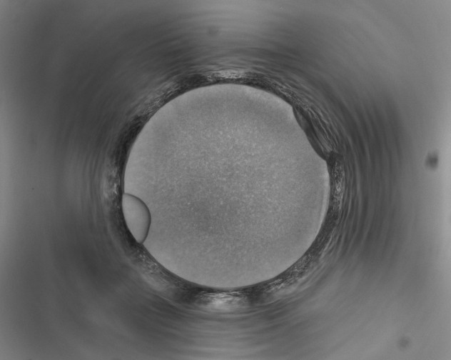 X0000116450555201001191555