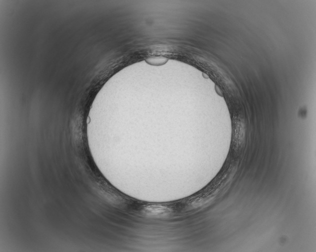 X0000116450557201001191555