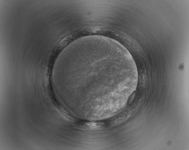 X0000116450558201001191555