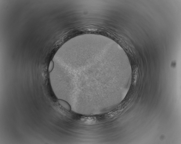 X0000116450559201001191555