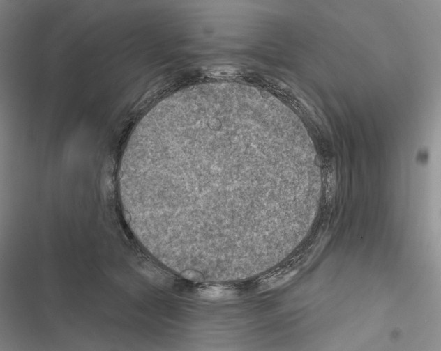X0000116450561201001191555