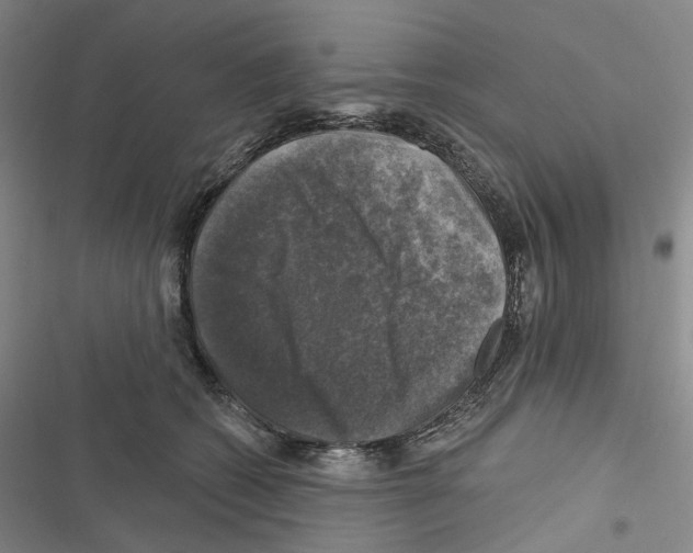 X0000116450562201001191555