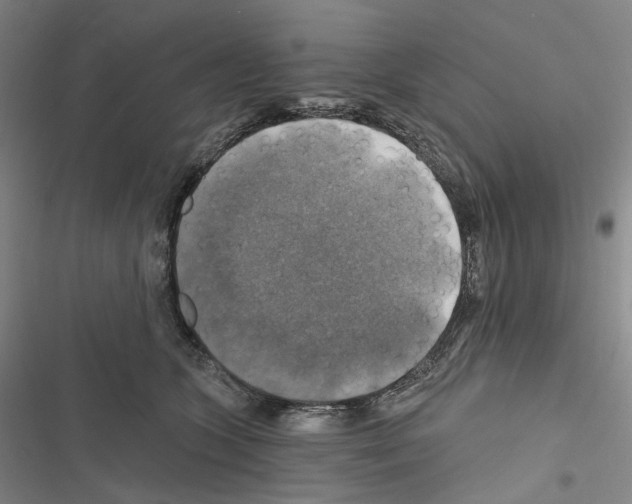 X0000116450563201001191555