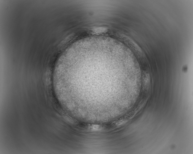 X0000116450565201001191555