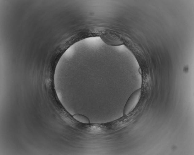 X0000116450566201001191555