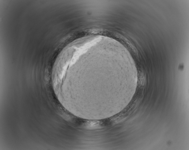 X0000116450569201001191555