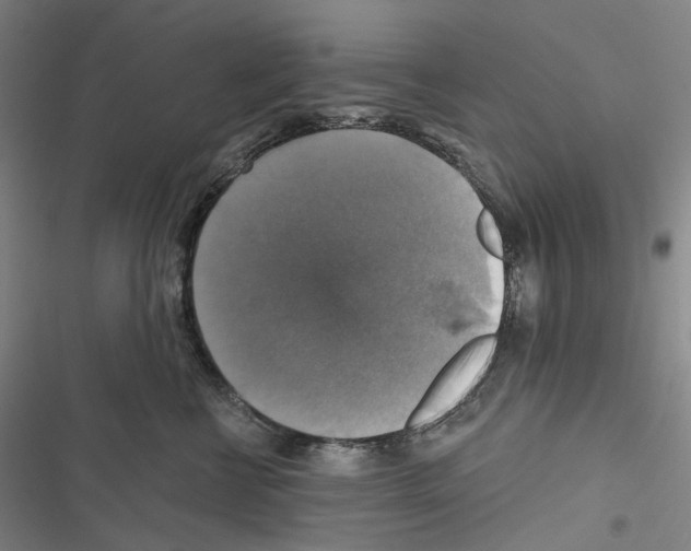 X0000116450570201001191555