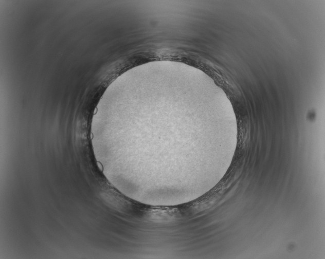 X0000116450571201001191555
