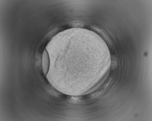 X0000116450573201001191555