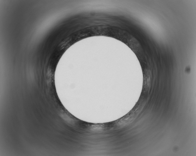 X0000116450574201001191555