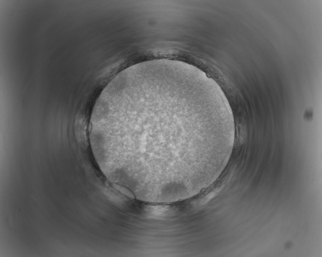 X0000116450575201001191555