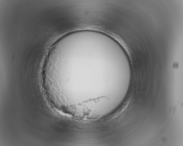 X0000116450577201001191554