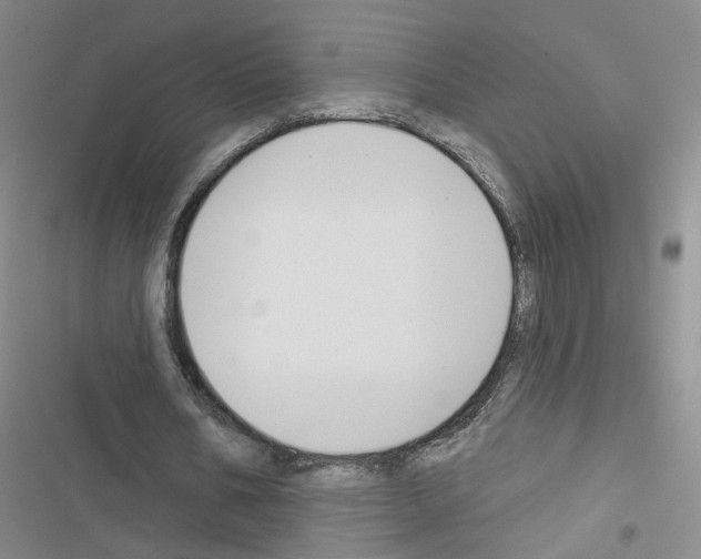 X0000116450578201001191554