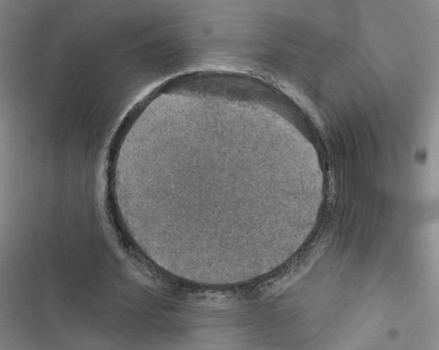 X0000116450580201001191554