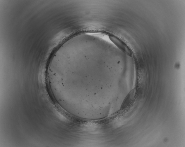 X0000116450581201001191554