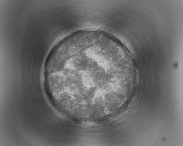 X0000116450582201001191554