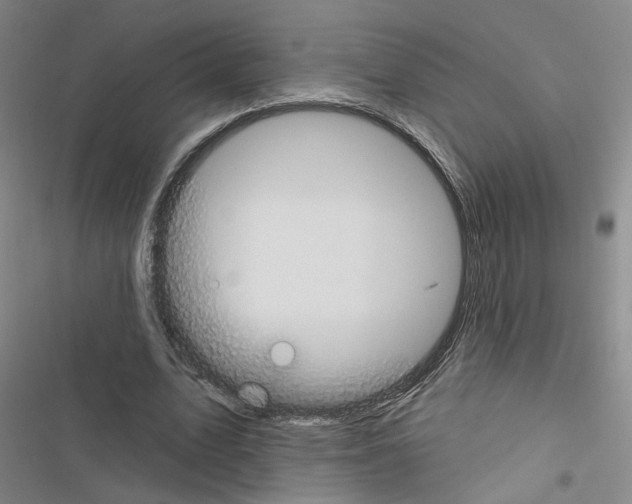 X0000116450583201001191554