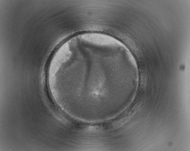 X0000116450584201001191554