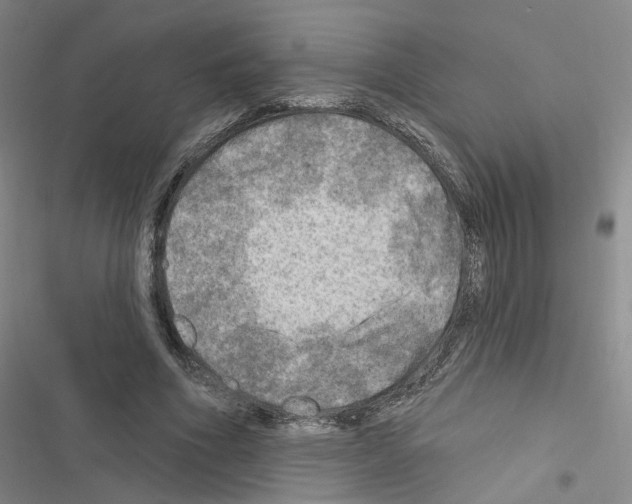 X0000116450586201001191554
