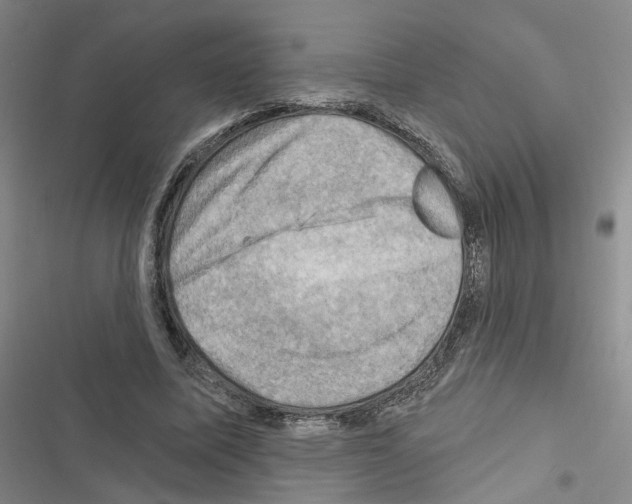 X0000116450587201001191554
