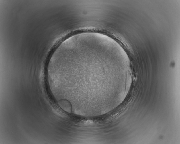 X0000116450588201001191554