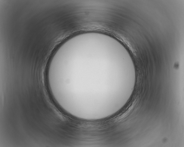 X0000116450589201001191554