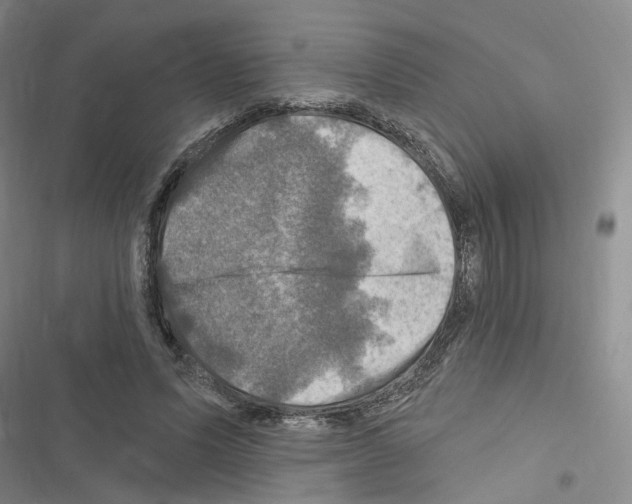 X0000116450591201001191554