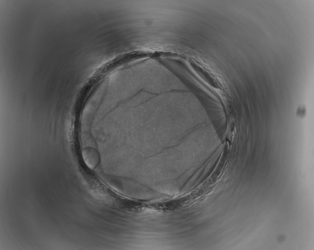 X0000116450592201001191554