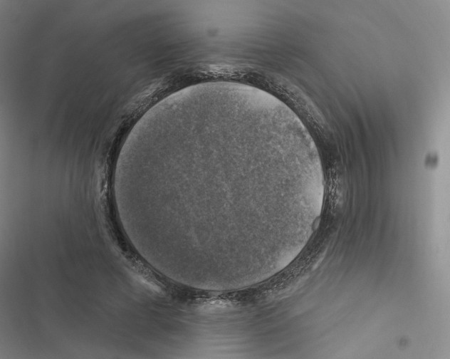 X0000116450593201001191554