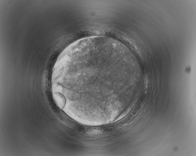 X0000116450594201001191554