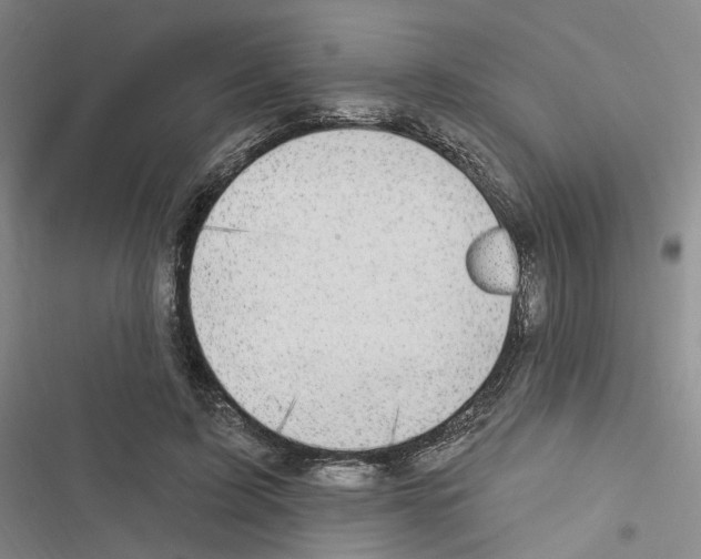 X0000116450595201001191554