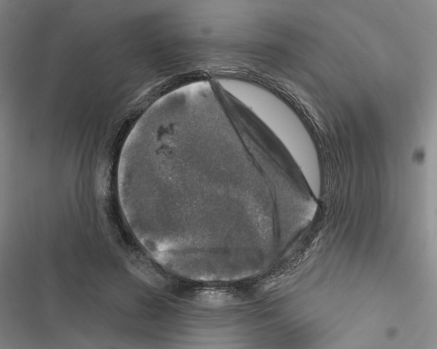 X0000116450596201001191554