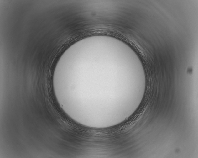 X0000116450597201001191554