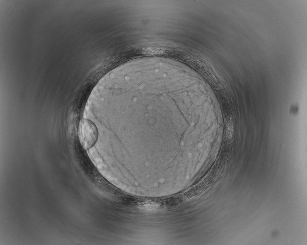X0000116450598201001191554