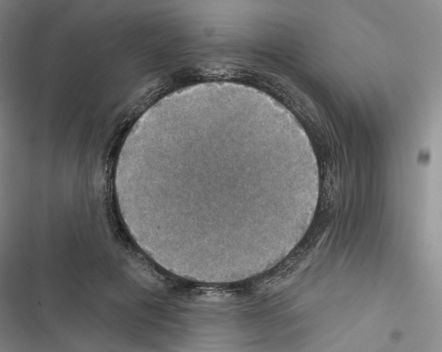 X0000116450601201001191554