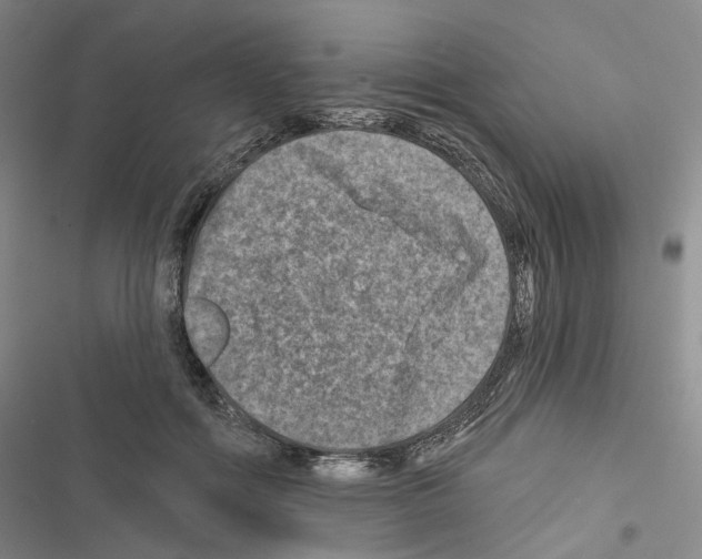 X0000116450602201001191554