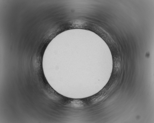X0000116450603201001191554