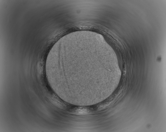 X0000116450604201001191554