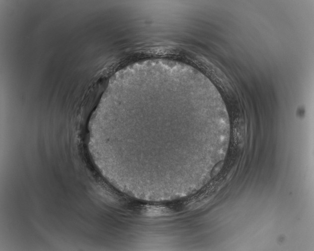 X0000116450605201001191554