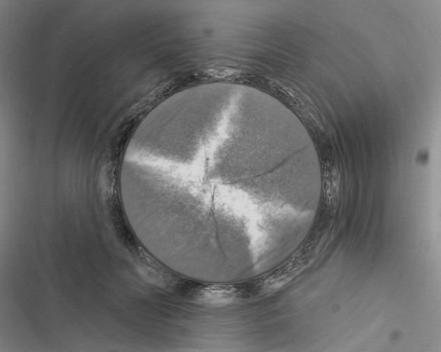 X0000116450606201001191554