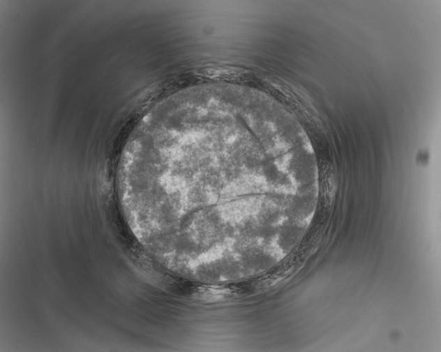 X0000116450607201001191554