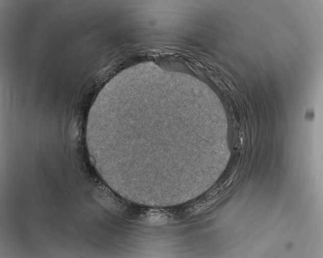 X0000116450608201001191554